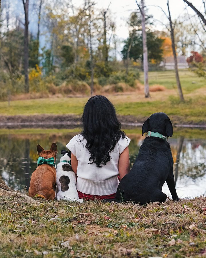 Euthanasia Mobile Vet Bucks County, PA